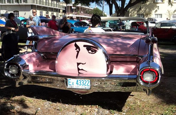 Elvis sighting.