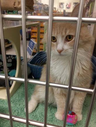 May 22, 2017.  Honey.