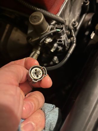 You can sort of see in this pic that there is oil in the connector.