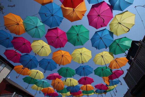 I like the effect on this one, but not sure I want the buildings in a pic