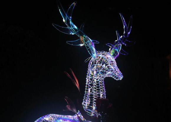 Nice colors on the reindeer.