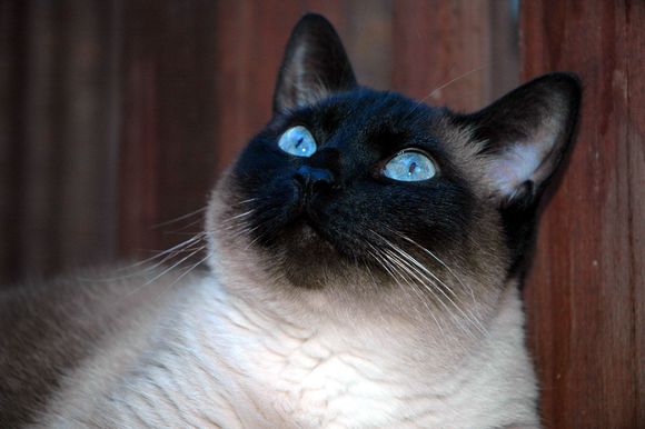 Simon looking up Blue.jpg