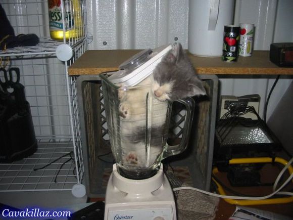 kblender.jpg