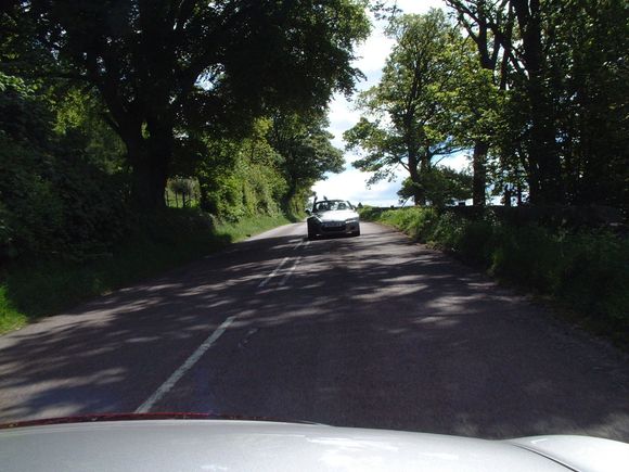 Scottish Borders Burnie No Han.jpg