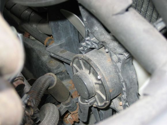 s2000 212.jpg