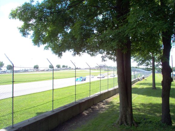 Race Pics 027.jpg