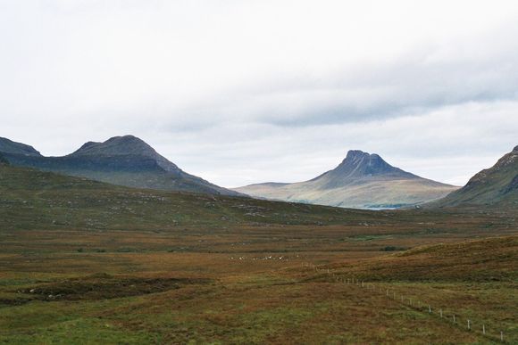 Image003_2.jpg