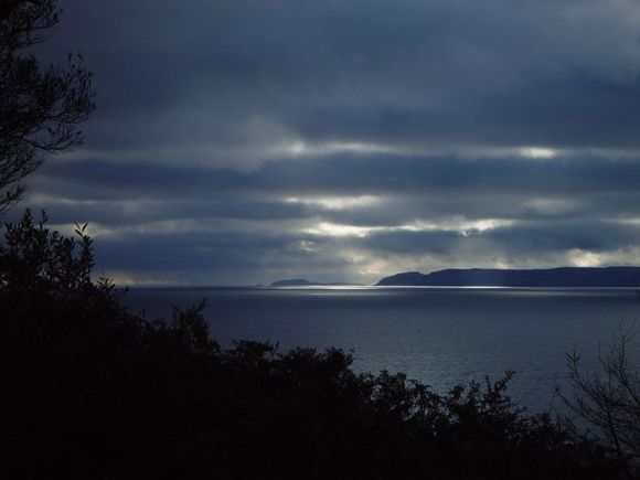 DSC05596.jpg