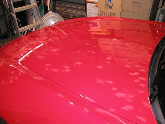 Pb130005.jpg
