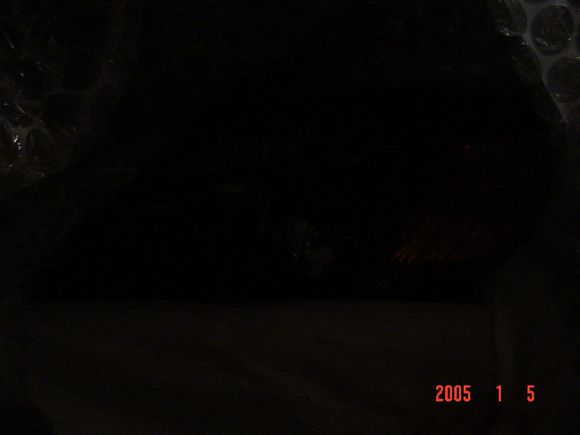 DSC01097.JPG