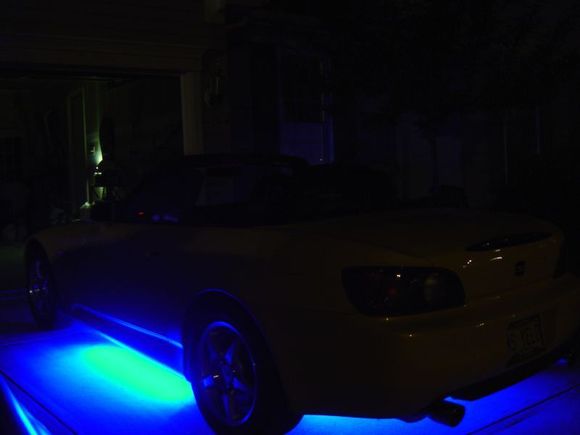 rear top.jpg