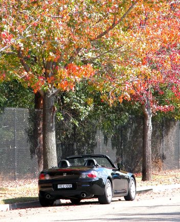 DSCN2234a.JPG