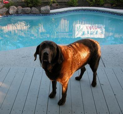 050611 Coco.JPG