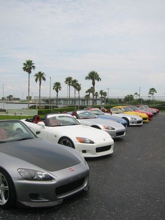 Tarpon 050.jpg