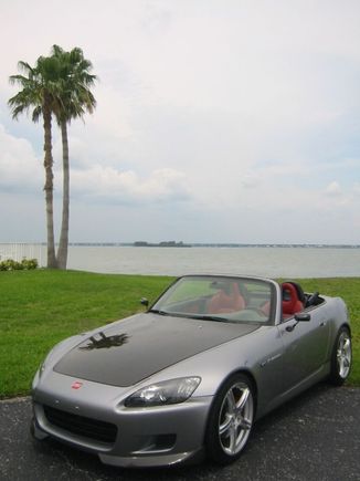 Tarpon 047 small.jpg