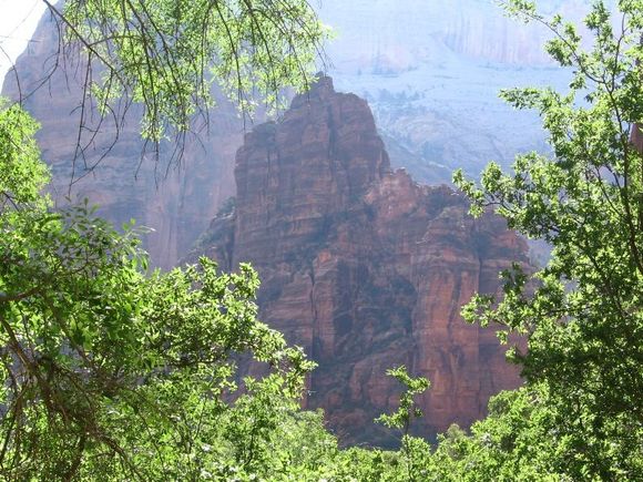 IMG_0214.jpg