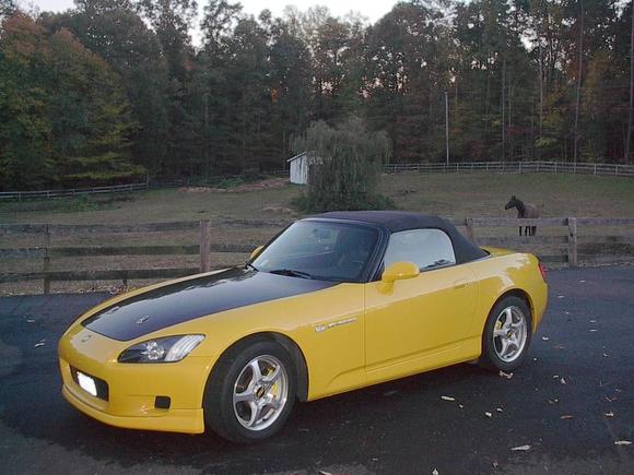 All cleaned up1.jpg