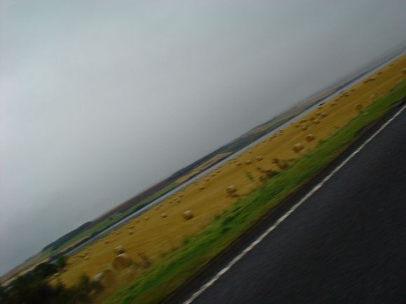 DSC02329.JPG