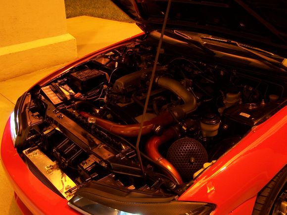 100_0369.JPG