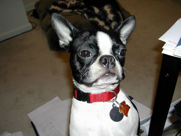 DSCN0343.JPG