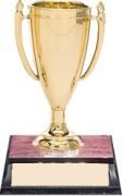 2nd place.jpg