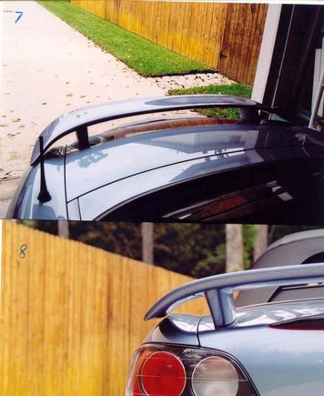 wing pics 2.jpg