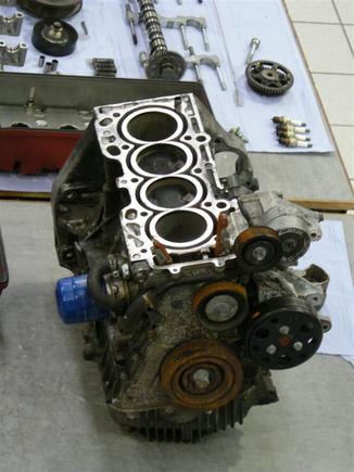 P1020570 (Medium).JPG