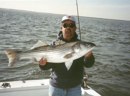 03 scott striper 6 x 4 .jpg