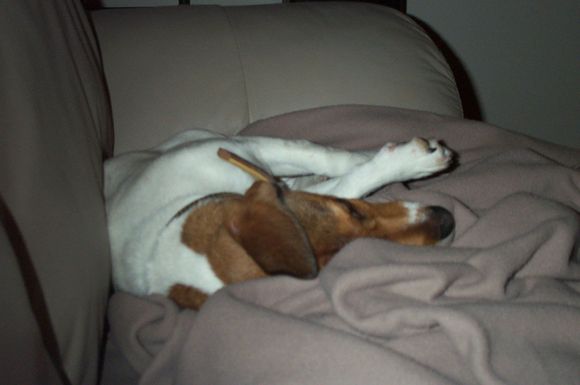Maggie 007.jpg