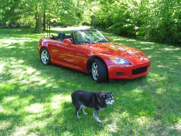 This is my car just before I raced this dog (Cee)