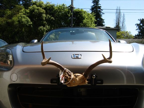 Mess with the S, you get the horns