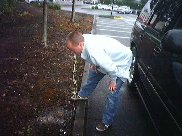 Photo 218.jpg