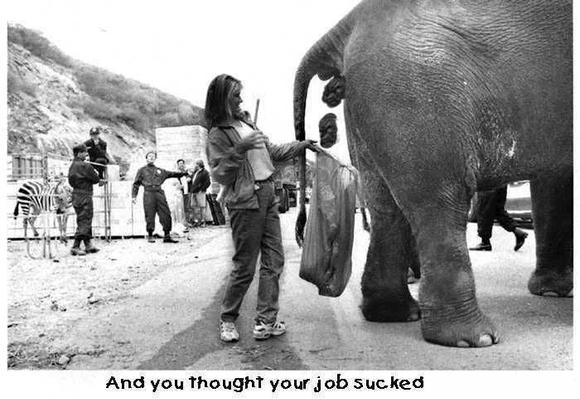 quitcomplainingaboutyourjob_1.jpg