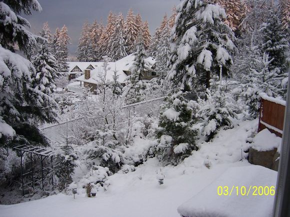 Snow March 2006 336.jpg