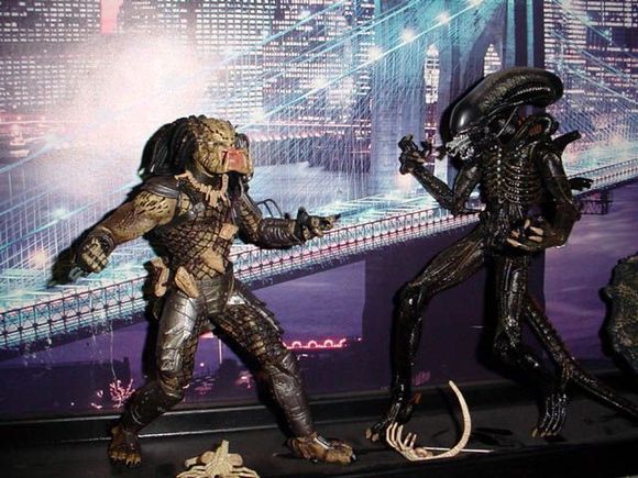 alien vs predator.jpg