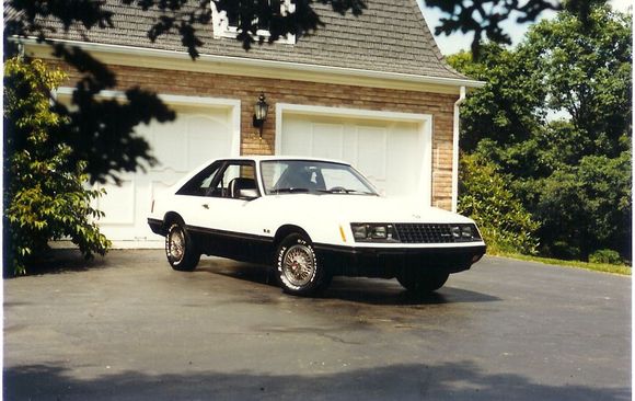 1979 Ford Mustang.jpg