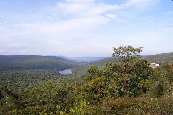100_0290.jpg