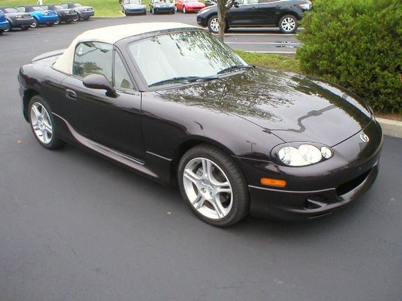 KMiata 4.jpg