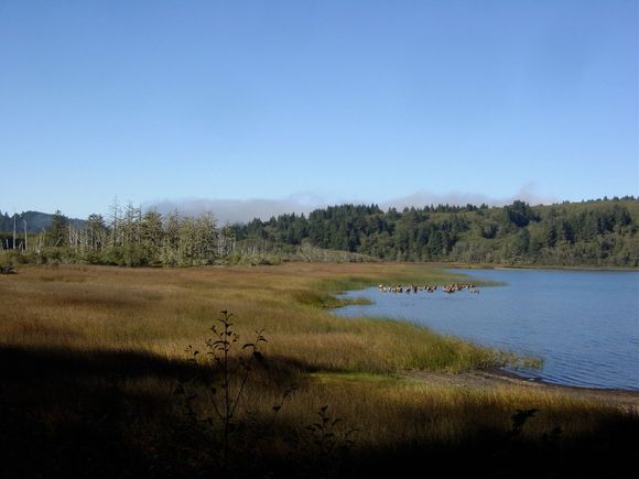 DSC04889.JPG