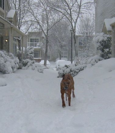 First Snow