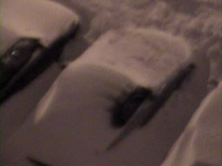 Cap0009.BMP
