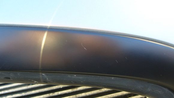 P1000130.JPG