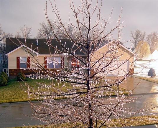 DSC00086 (Medium).jpg