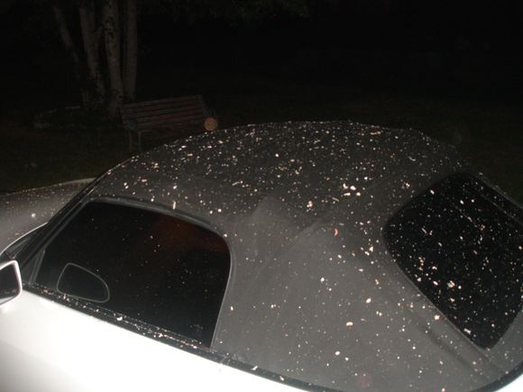 S2000 covered in ashes 28 Apr 07 004.jpg