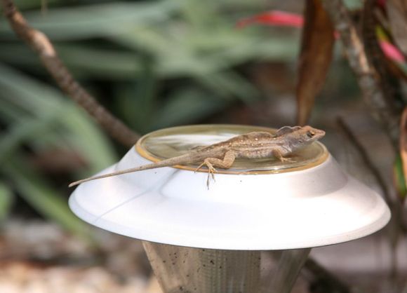IMG_1054.jpg
