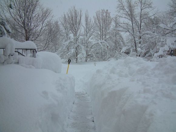 Frontwalkway_3-19-03.JPG