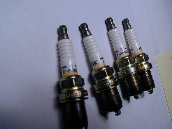 25050050.JPG