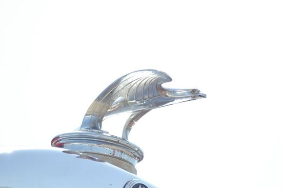 Hoodornamenteagle.jpg