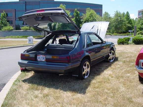 rear.JPG