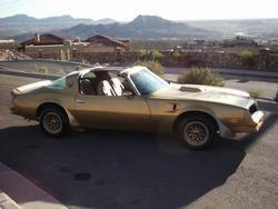 trans am gold 1.jpg